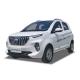 Raysince New model electric vehicle 4 Seats 5 door China high speed electric car