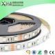 SMD5050 RGB Led Strips 30/60/72/96/120/144/240leds full color DMX 5050 12v 24v 5050SMD rgb led strip lights for KTV bar