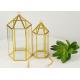 Golden hexagon cage glass artifact garden Creative geometric cover greenhouse micro landscape Yiwu wholesale