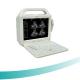 12 inch LCD monitor Medical Portable Ultrasound Scanner,Laptop B/W Ultrasound Scanner