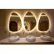 Contemporary Wall Backlit Oval LED Illuminated Bathroom Mirror For Vanities With Sensor