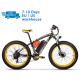 US EU STOCK All Terrain Fat Tyre Electric Bike 48v 1000w Rich Bit Top 022 Lithium Battery