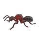 Insect Figures Model Toy Formica Rufa Figurines Party Favors Decoration Set Toys
