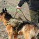 Adjust Explosion Proof Flexible Dual Handle Dog Leash Nylon Tactical Dog Rope