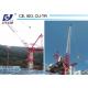 QTD2520 High Efficiency Small Luffing Tower Crane with High Specifications for Civil Project