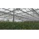 Plastic Film Tomato Plant Greenhouse Span Width 9.6 / 10.8 / 12m Easy Assemble
