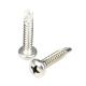 Top Performance Sus304 Stainless Steel Self Drilling Screw with Phillips Cross Recess