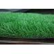 140gPP Single Backing Cloth / 100g Nonwoven Cloth Color Garden Artificial Grass Lawn Mats