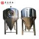Vertical 1000 Liters Beer Fermentation Tank Home Brew Fermenter For Brewery