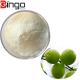 Herbal Extract Green Plum Extract Freeze Dried Fruit Powder Greengage Powder