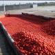 Tomato Paste Large Production Line For 50 Tones Per Day Processing Machine