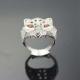 Women Jewelry Lion Sstyle 925 Silver Cubic Zircon Ring (F01)