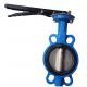 Manual Double Flanged Wafer And Lug Type Butterfly Valve DN200