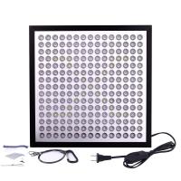 Lightweight Energy Efficient Grow Lights Led Flowering Grow Lights 3 Years Warranty