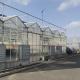 Single Layer Glass Greenhouse for Horticulture Customized to Your Requirements