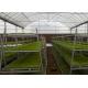Custom Shaped Glass Seedling Greenhouse / Nursery Bed Breeding / Movable Seedbed