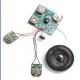 Customized Recordable Sound Module with microphone for sound greeting card