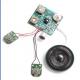 OEM design Recordable Sound Module with pre - recorded sounds, voice, music, messages
