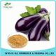 100% Water Soluble Anti-aging Eggplant Extract for Skin Cancer