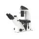 Wide Field Eyepiece Inverted Biological Microscope , Educational Microscope