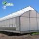 Single Layer PO Commercial Multi Span Polycarbonate Sheet Greenhouse for Agriculture