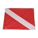 Polyester Boat Diving Flag Pantone Color Silk / Digital / Sublimation Printing