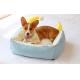 Eco - Friendly Comfort Pet Beds , Cute Pet Beds Fashionable 3 Colors Available