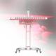 Red Light Skin Therapy 800W Infra Red Lamp 3000W Light Therapy Devices For Skin