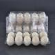 10 Cavities Clear Plastic Egg Cartons PET Disposable Egg Plastic Box Clear