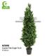 Handmade H165cm Artificial Cypress Trees Outdoor With Single Trunk