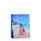TAHITI Branded Paper Bags Embossing Promotion Gift Bags With PP Handle