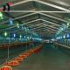 50m2 Steel Structure Poultry Broiler Chicken Houses Farm Construction with 1% Tolearance