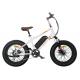 Kids Full Suspension Fat Tire Electric Bike Lithium Battery 7 Speed Gear