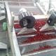 Dried Jujube Apricot Continuous Belt Dryer Fruit Drying Processing System