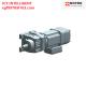 880NM Variable Speed Reducer Coaxial Helical Inline