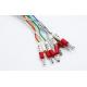 Ethernet  RJ45 Extension Cable , Rj45 Patch Cord	Female Socket