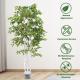 SGS Real Touch Fiddle Leaf Fig Artificial Potted White Birch Tree With Leaves 1.8m 6ft Tall