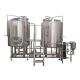 Stainless Steel 304 Craft Beer Brewing Machine for GHO 2023 and Customized Capacity