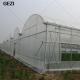 Gezi Fine Mesh Insect Protection Net for Garden, Greenhouse, Plants, Fruit, Flowers, Crops, Insect Repellent