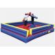 Commercial Inflatable Sports Arena , Sports Themed Bounce House Gladiator Jousting