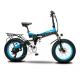 1000W 20 Inch Fat Tire Folding Electric Bike , ODM Electric Folding Bike 20 Inch