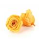 Beautiful Handmade Preserved Flower Rose Head With The Short Stem