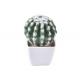 Indoor Realistic Faux Greenery Potted Plants 8*15cm 10*15cm 10*18cm