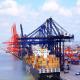 China To Amazon USA LCL Door To Door Sea Freight