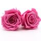 DIY Pink Preserved Rose Heads Pretty Appearance Keeping Everlasting Memory