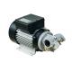 Portable Die - cast Aluminum Electric Diesel Transfer Pump 550W AC Gear Type  IP55