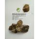 Rhubarb Root P.E.  RHB-Anthraquinones 50% UV；10：1, Chinese Manufacturer , top quality