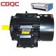 Cast Iron Variable Speed AC Motor High Efficiency 3 Phase  New Design Ie2
