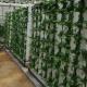 Commercial Hydroponics Nft Strawberry And Flower Vertical Growing System Zipgrow Tower