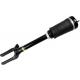 Front Air Suspension Spring / Air Suspension Shock Absorbers A1643206113 For Mercedes w164 without ADS